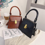 Erasmia