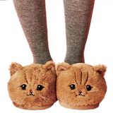 Schöne Katzenpantoffeln