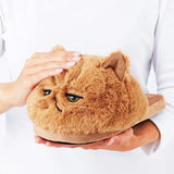 Schöne Katzenpantoffeln