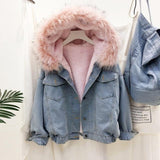 COLLAR - Denim Jeansjacke