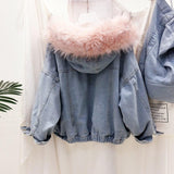 COLLAR - Denim Jeansjacke