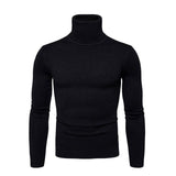 Herren Rollkragen
