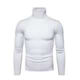 Herren Rollkragen